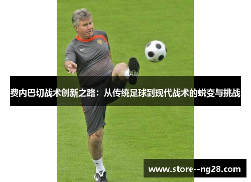 费内巴切战术创新之路:从传统足球到现代战术的蜕变与挑战 费内巴切战术创新之路:从传统足球到现代战术的蜕变与挑战