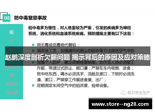 赵鹏深度剖析欠薪问题 揭示背后的原因及应对策略